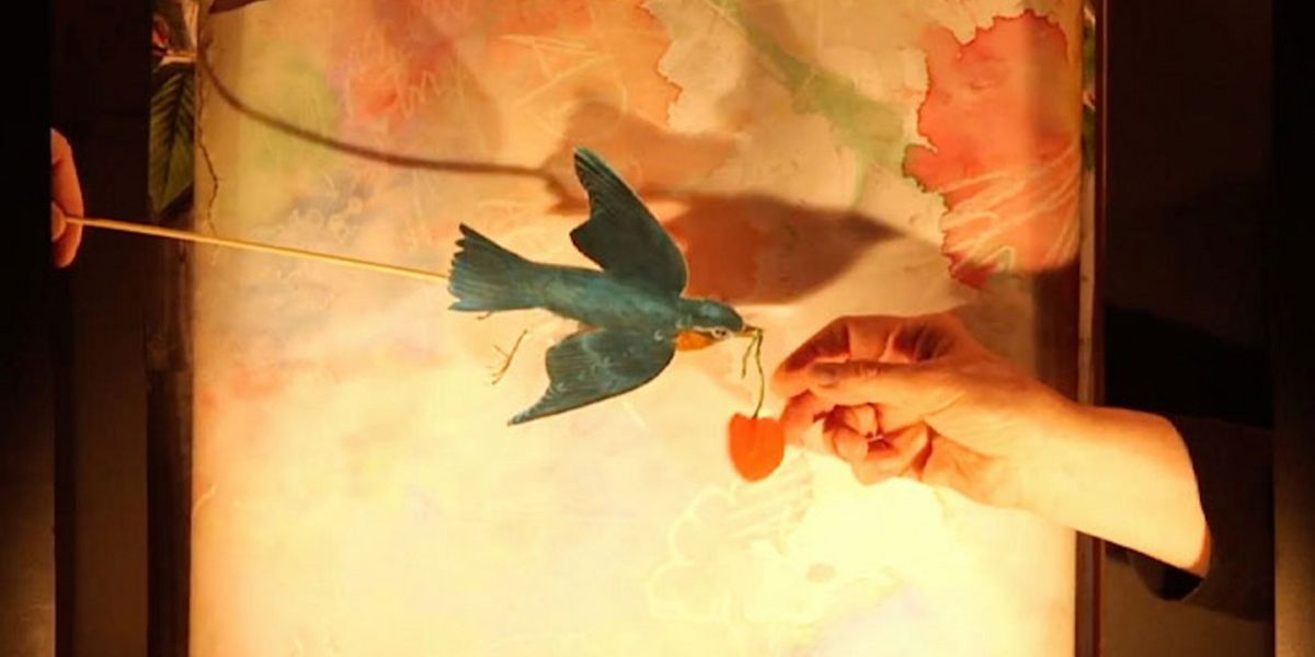 Pontine Theatre Presents WE LOVE TREES By Great Small Works, October 20-21