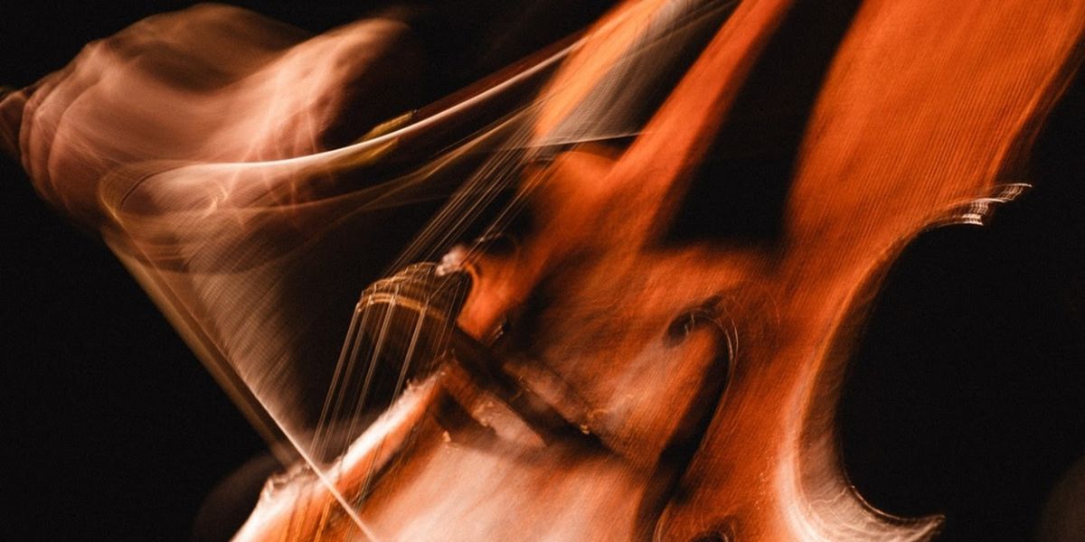 Portland Cello Project Share 'Winter Wonderland'