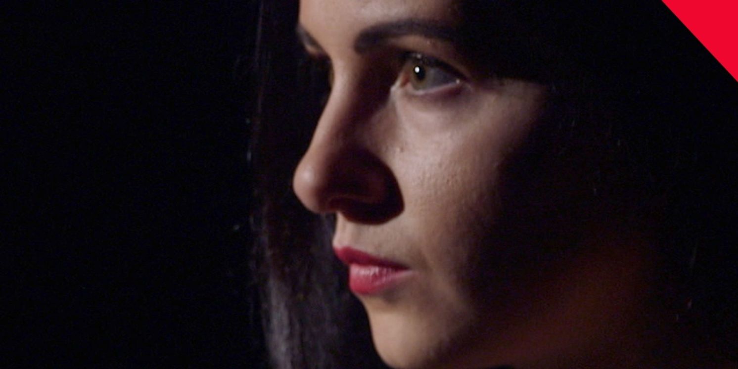 Powerful One-Woman Show THE AMISH PROJECT Comes To The Secret Theatre  Image