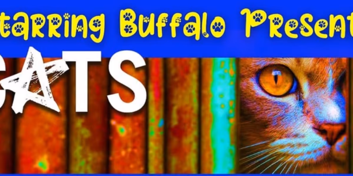 Previews: CATS at Starring Buffalo At Shea’s 710 Theatre