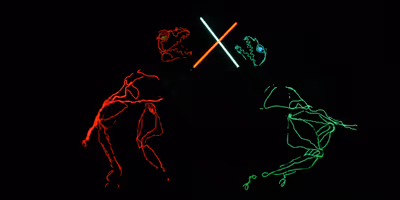 Previews: Lightwire Theater's DINO-LIGHT at Meridian Theatres @ Centrepointe Photo