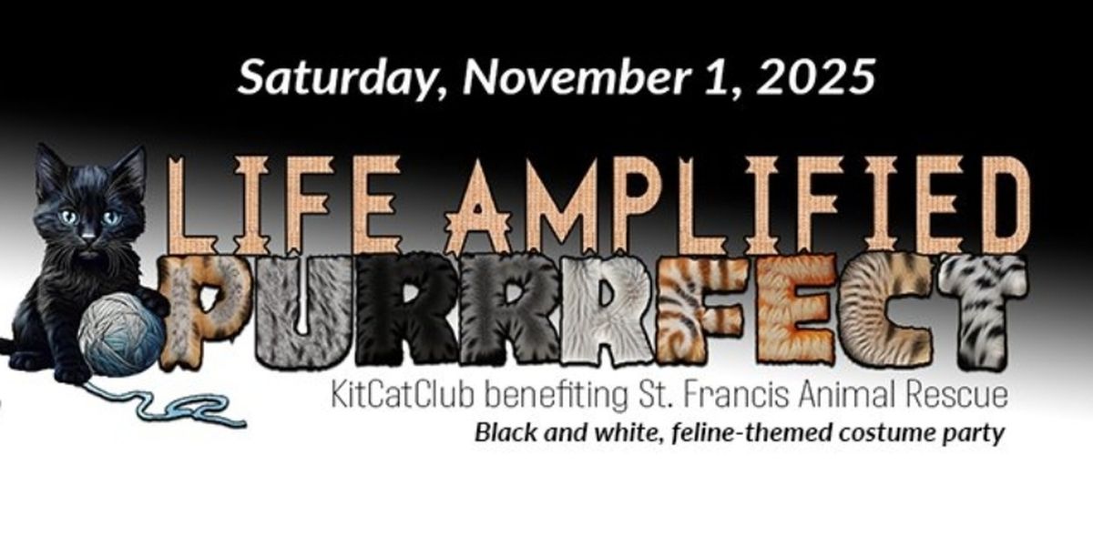 Previews: LIFE AMPLIFIED PURRRFECT at The Studio At Carrollwood Cultural Center