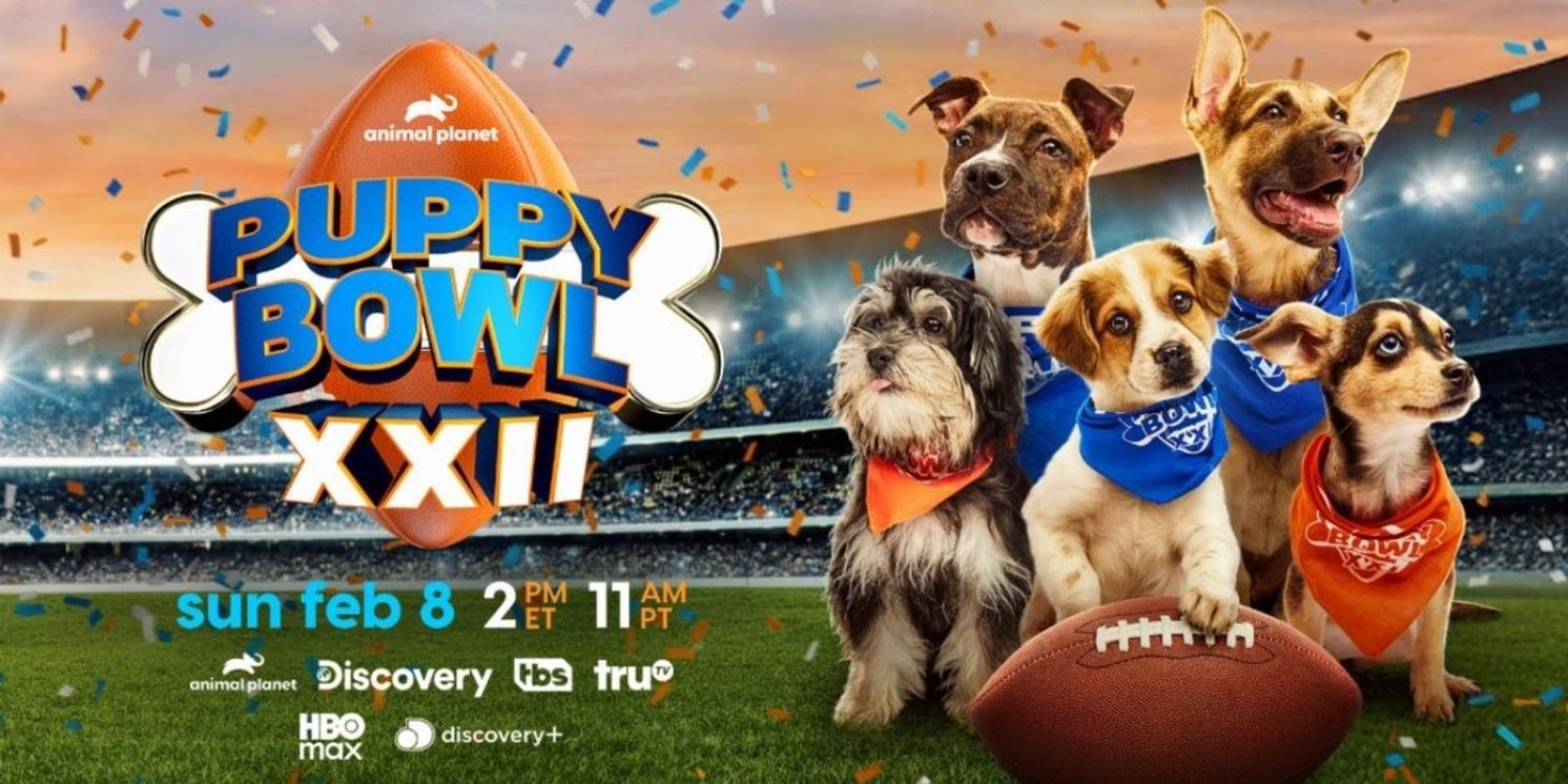 PUPPY BOWL XXII to Return on Super Bowl Sunday in February  Image