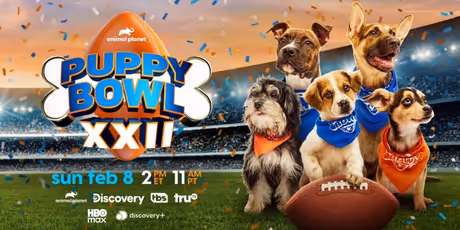 PUPPY BOWL XXII to Return on Super Bowl Sunday in February Photo