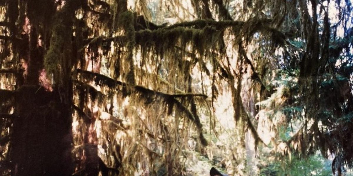 QUIET FOREST Reissue to Mark First Vinyl Release of Hiroshi Yoshimura Album