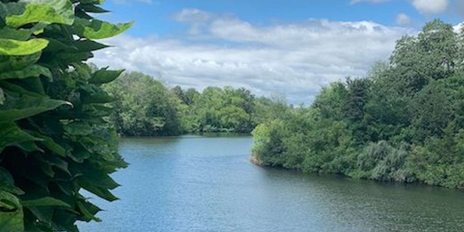 READY TO DRINK Cocktails for Labor Day Sips  Image