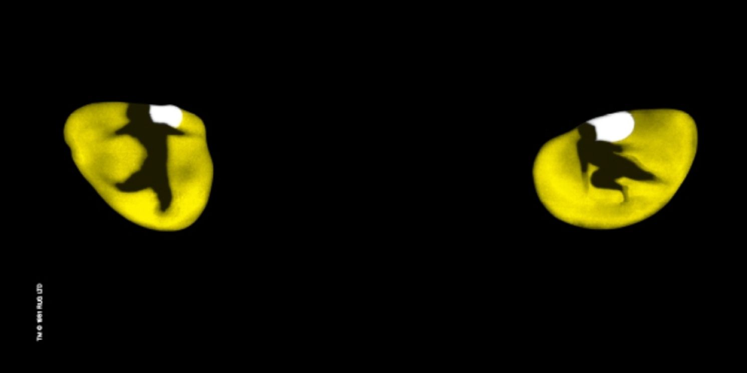 Review: CATS Returns to Sydney’s Theatre Royal After 40 Years  Image