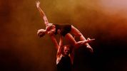 REVIEW: TRIPTYCH, the excellence of when dance connects Photo