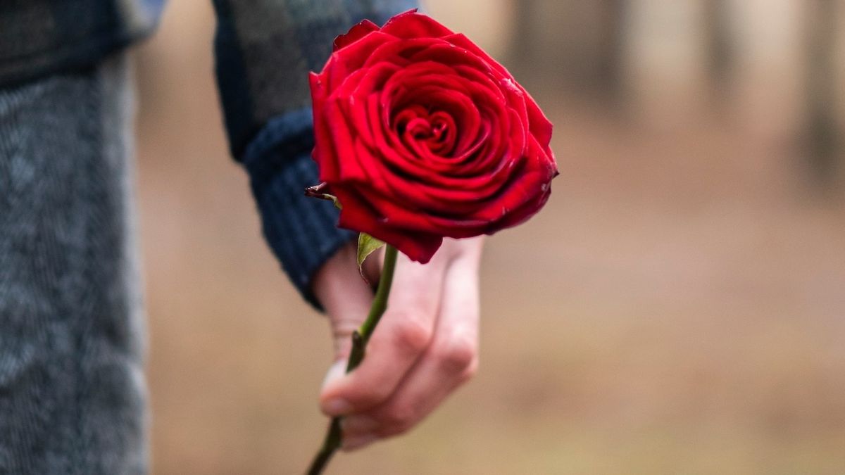 ROMEO AND JULIET to Open Madison Shakespeare Company's Third Season