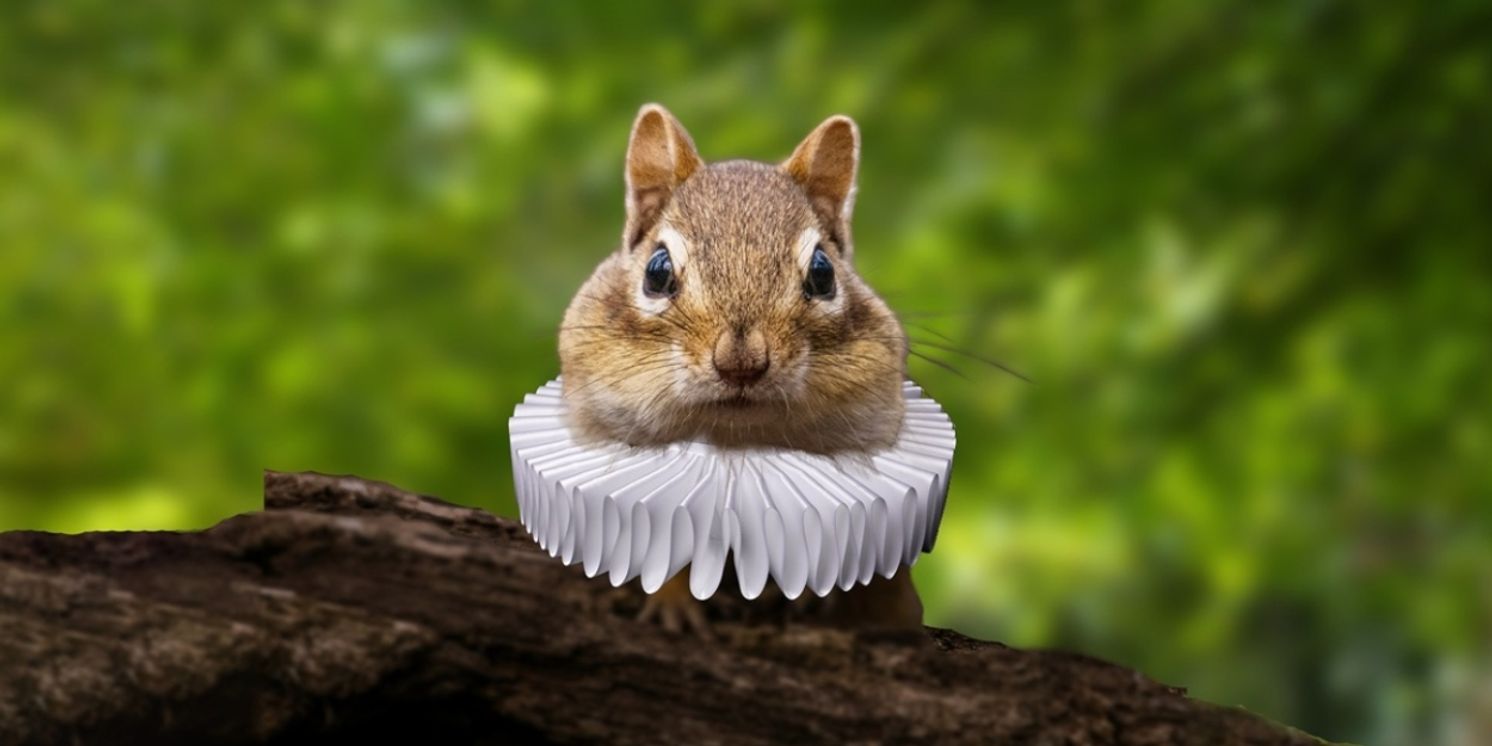 ROMEO & JULIET Comes to High Park This Summer  Image