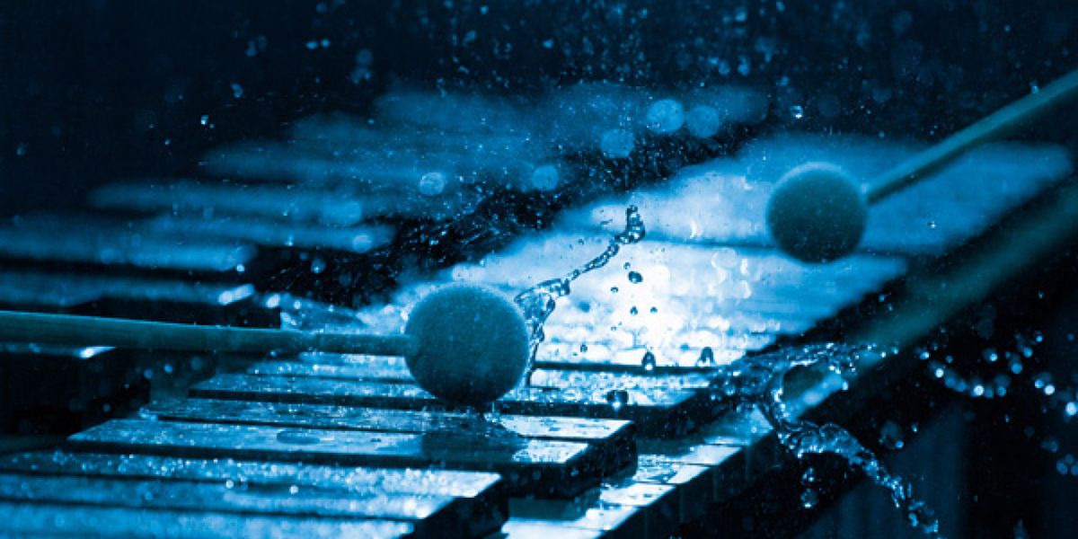 Chara Percussion Will Present REFLECTIONS: THE WATERS OF LIFE in Brewster