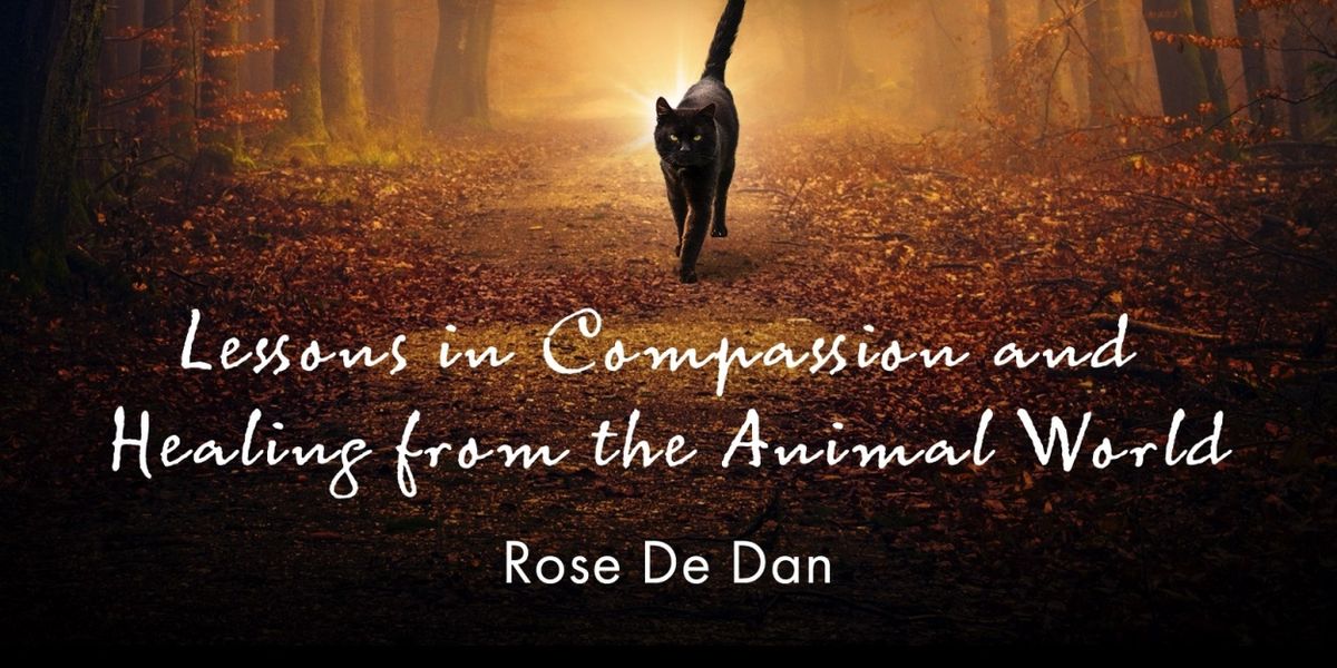 Reiki Master Teacher Rose De Dan to Release New Book OUT OF THE DARKNESS AND OTHER ANIMAL TAILS