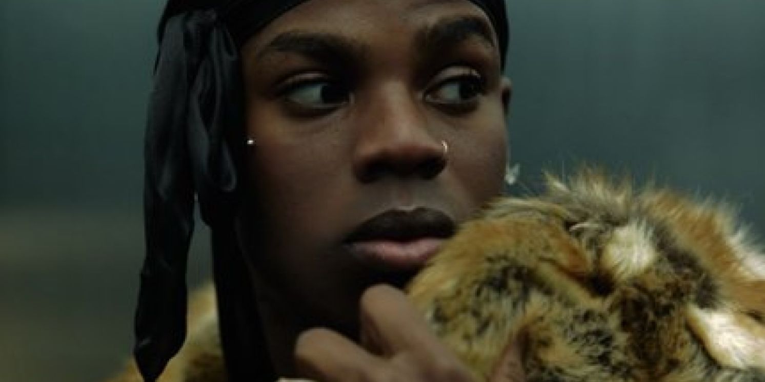 Rema Details 'HEIS World Tour' with Stops in New York, Berlin, London & More  Image