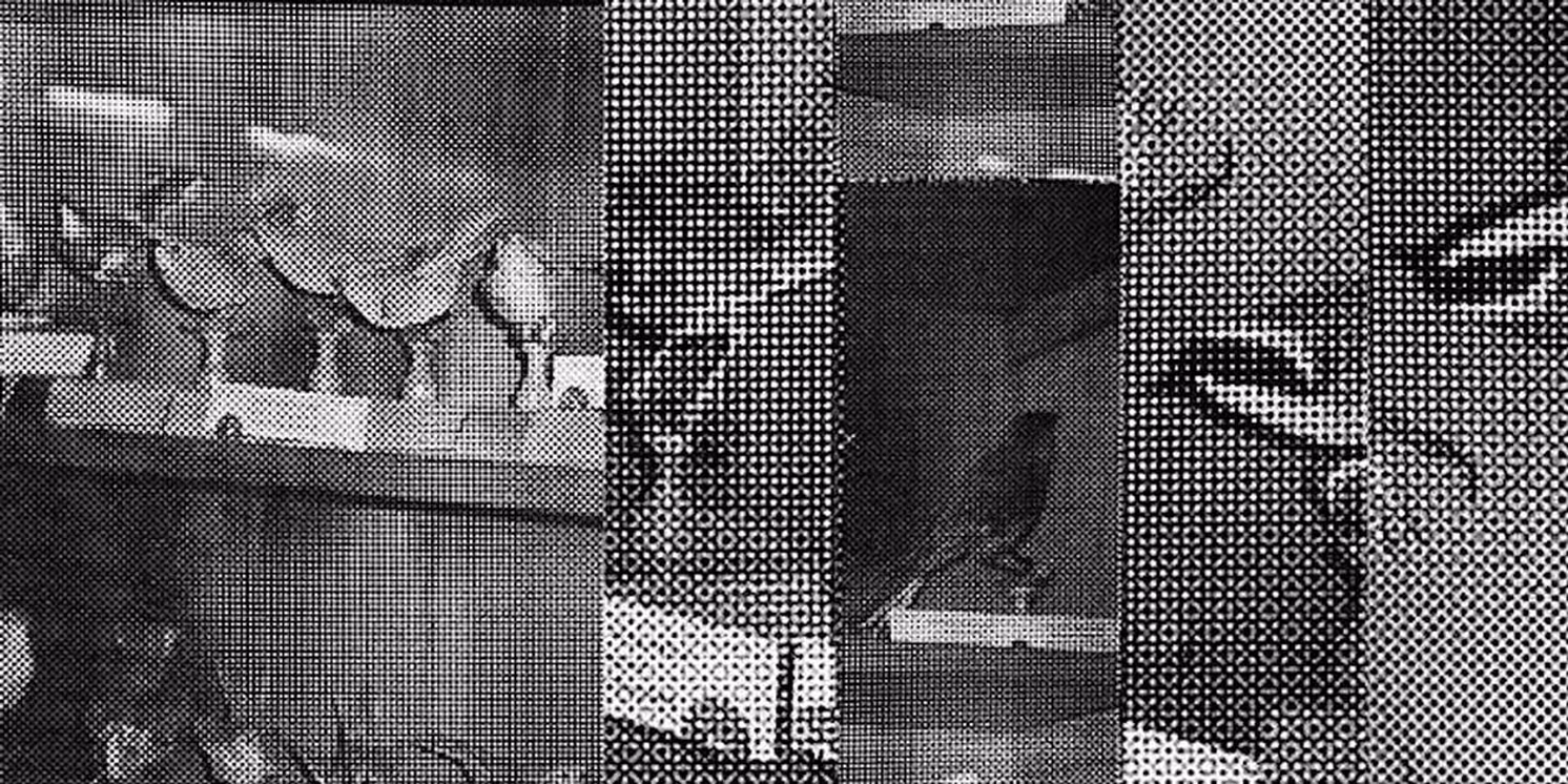 Resonant Threads Collective Will Host AIR/MOTION  Image