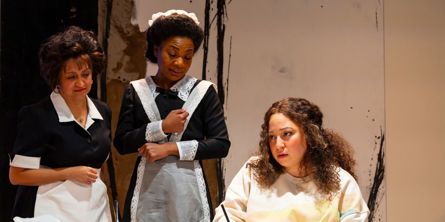 Review: A THOUSAND MAIDS at Two River Theater-Meaningful and Humorous  Image