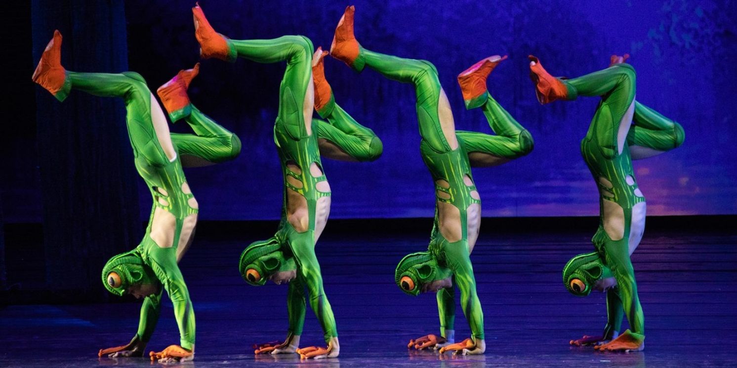 Review: ACROBATIC SWAN LAKE, Sadler's Wells  Image