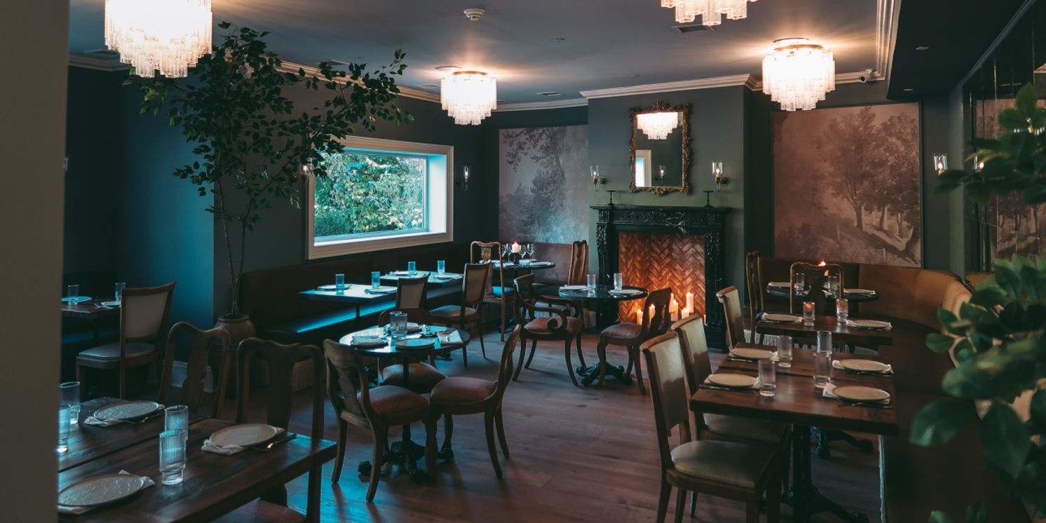 Review: ALLENDALE SOCIAL-Absolutely Superb  Image