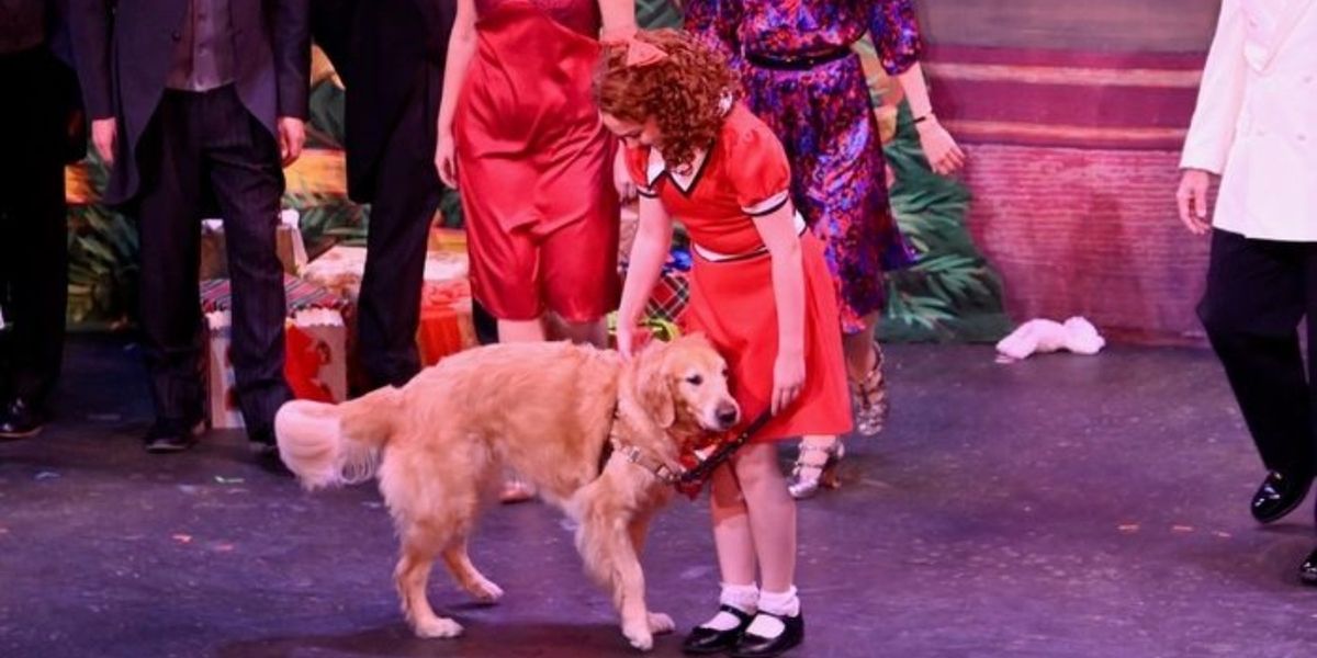 Review: ANNIE at The Argyle Theatre