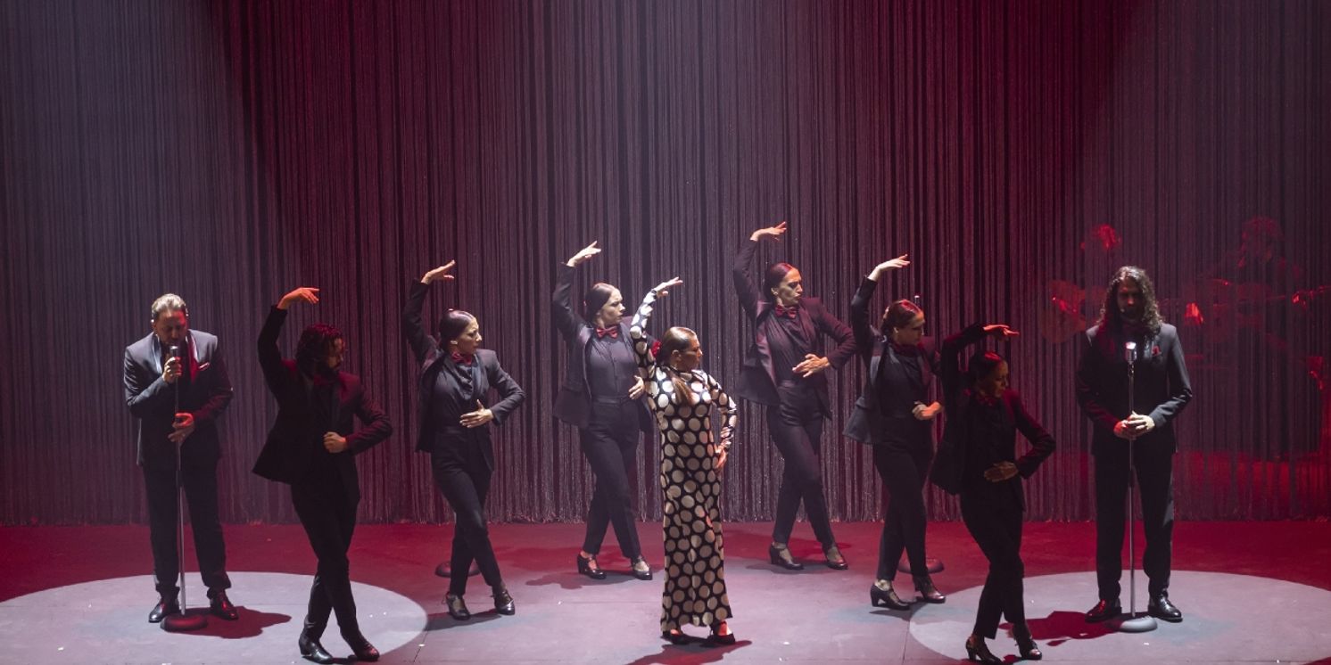 Review: BALLET FLAMENCO SARA BARAS: ALMA, Sadler's Wells  Image