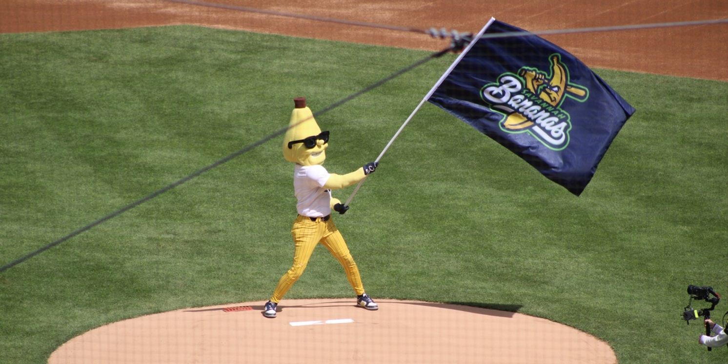 Review: The Savannah Bananas BANANA BALL at Yankee Stadium was Truly Bananas  Image