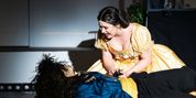 Review: BEAUTY AND THE BEAST at Harlequin Musical Theatre Photo