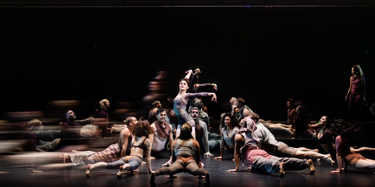 Review: A Thrilling BLACK SWAN at American Repertory Theater
