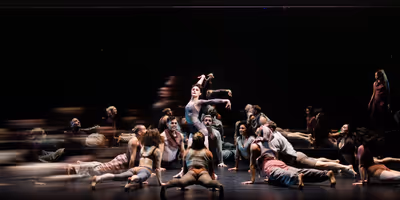 Review: A Thrilling BLACK SWAN at American Repertory Theater Photo