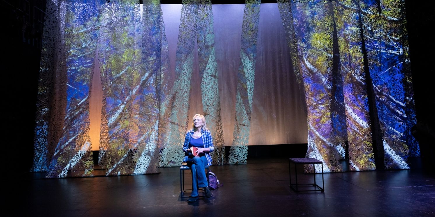 Review: THE BODY'S MIDNIGHT at Boston Court Pasadena in co-production with IAMA Theatre Company  Image