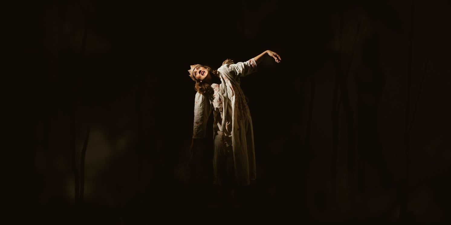 Review: BOG WITCH, Soho Theatre Walthamstow  Image