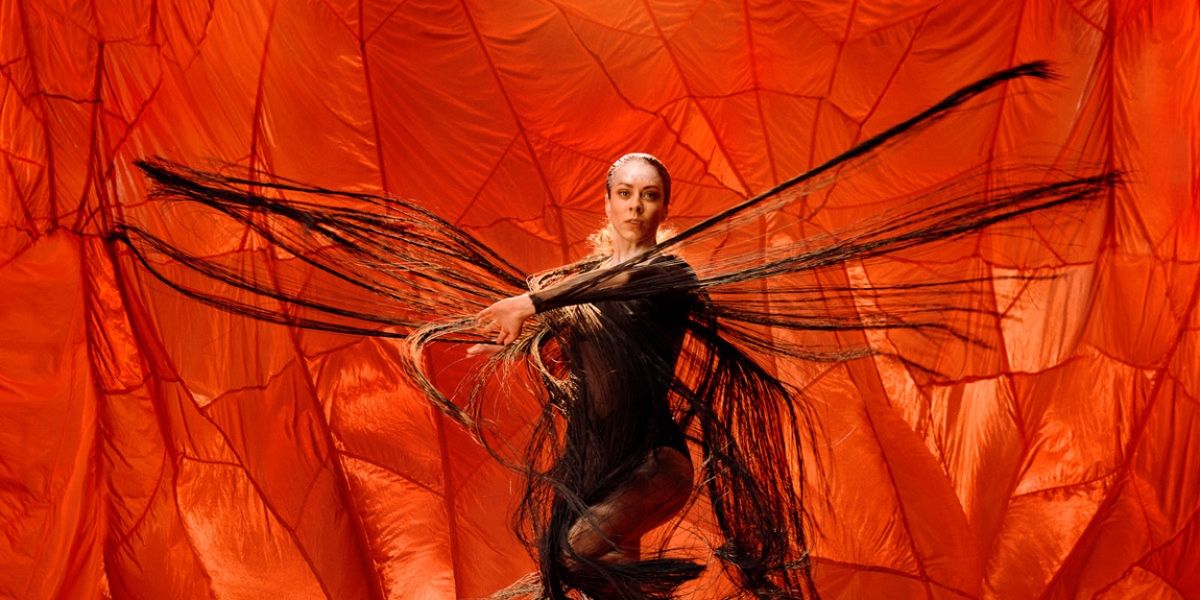 Review: Bangarra Blooms with The Extraordinary Glow Of ILLUME
