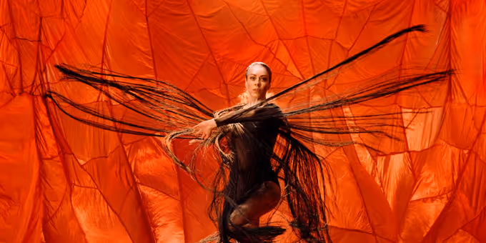 Review: Bangarra Blooms with The Extraordinary Glow Of ILLUME Photos