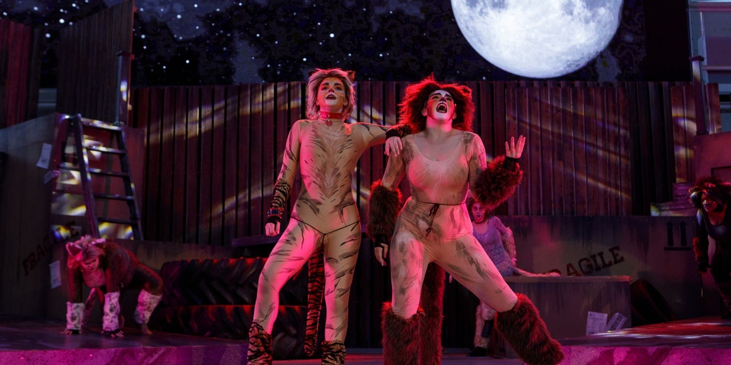 Review: CATS THE MUSICAL at Stage West At The Lights  Image
