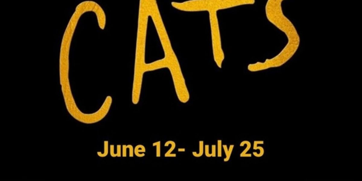 Review: CATS at Arizona Broadway Theatre