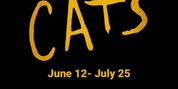 Review: CATS at Arizona Broadway Theatre Photo