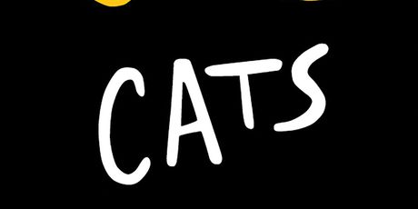 Review: CATS at Broadway Palm Photo