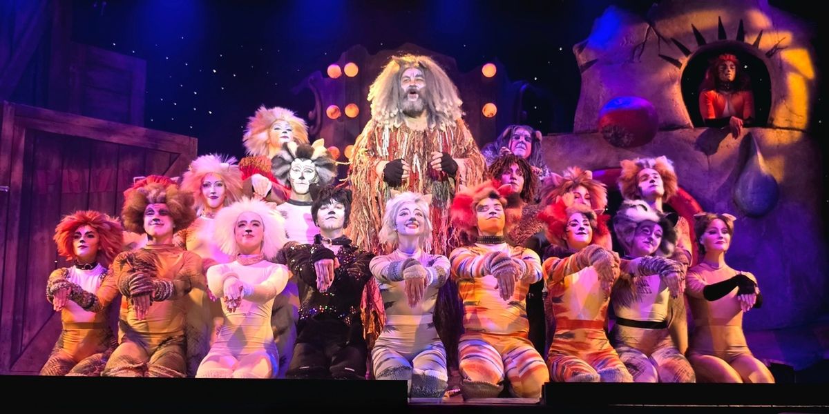 Review: CATS at Broadway Palm Dinner Theatre
