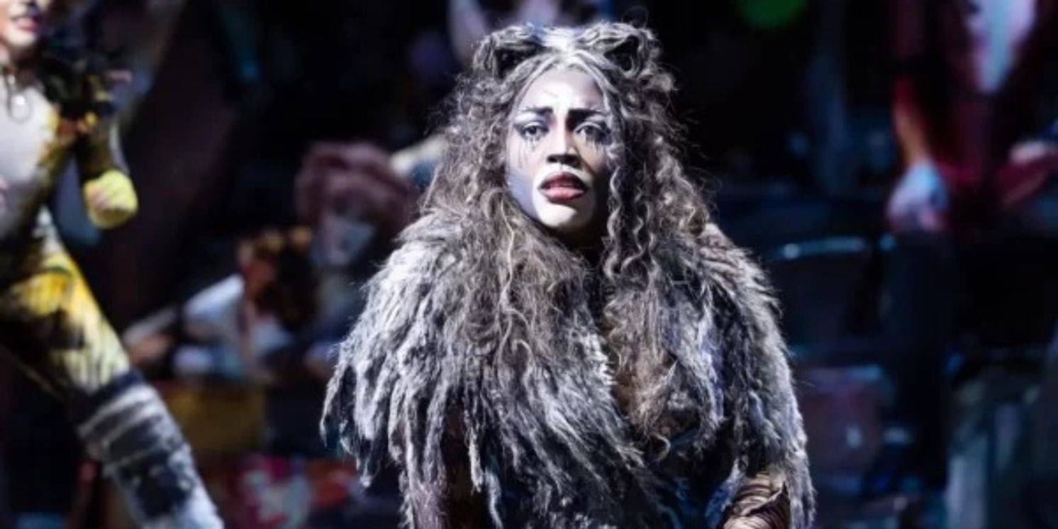 Review: CATS at Her Majesty’s Theatre, Adelaide Festival Centre  Image