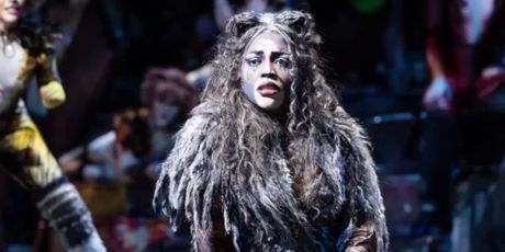 Review: CATS at Her Majesty’s Theatre, Adelaide Festival Centre Photo
