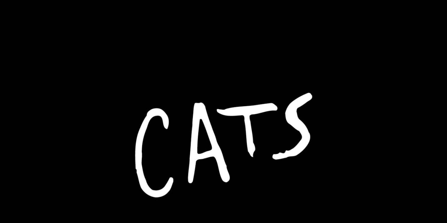 Review: CATS at Landestheater Linz  Image