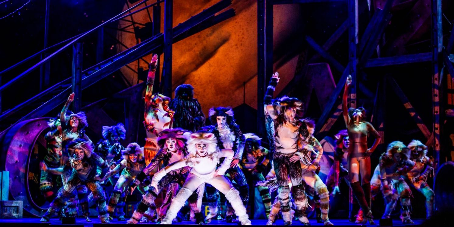 Review: CATS at Music Theatre Wichita  Image