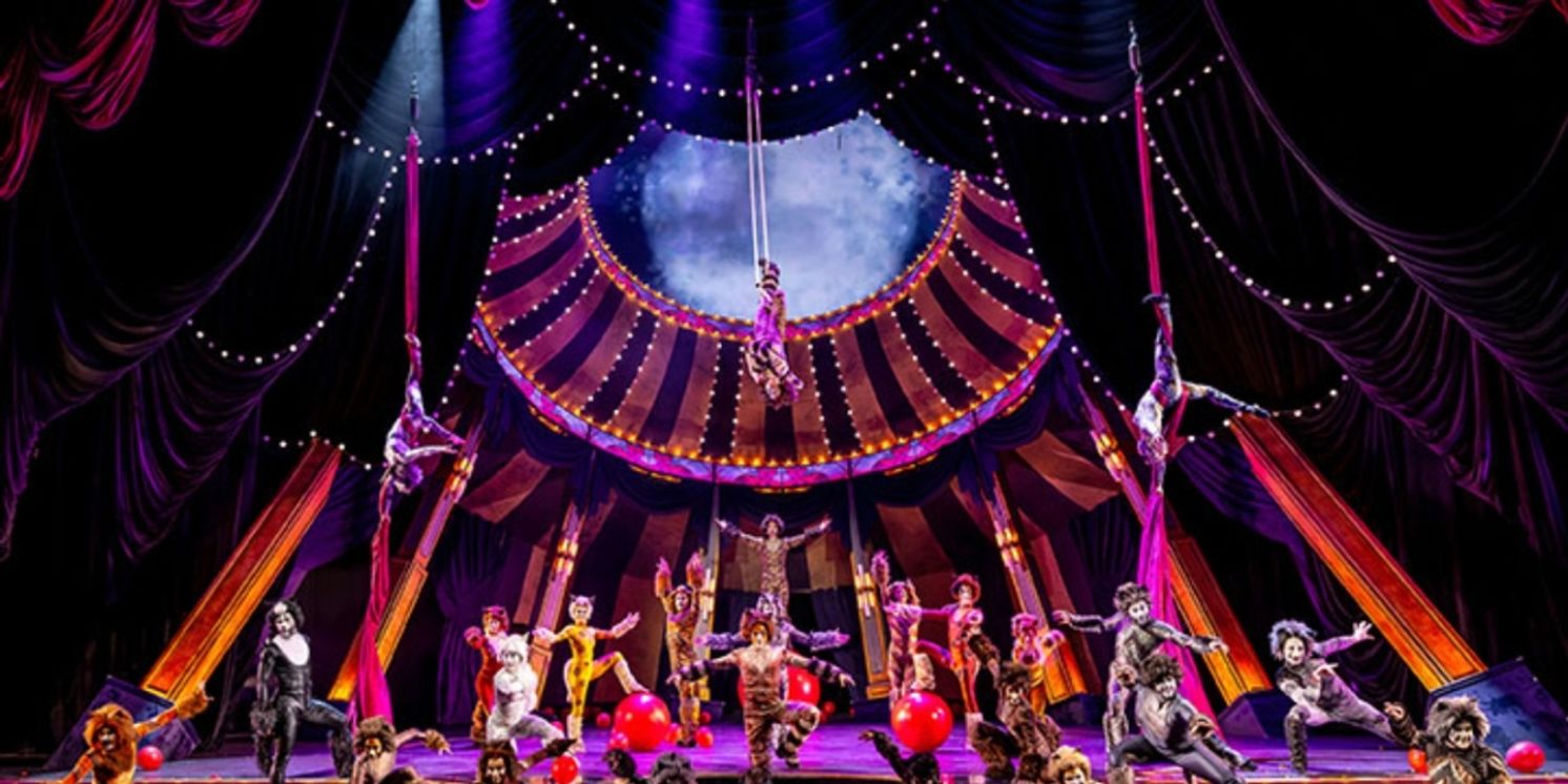 Review: CATS at Paramount Theatre Aurora, IL  Image