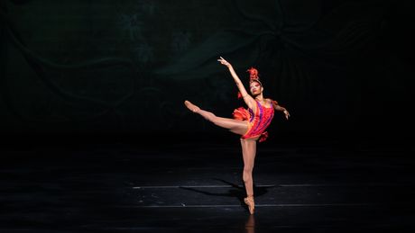 Review: Dance Theatre of Harlem's FIREBIRD at The Auditorium Photo