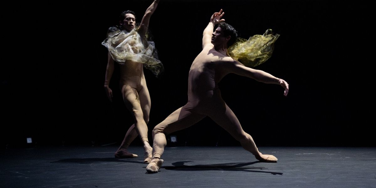 Review: DARK WITH EXCESSIVE BRIGHT, Royal Opera House