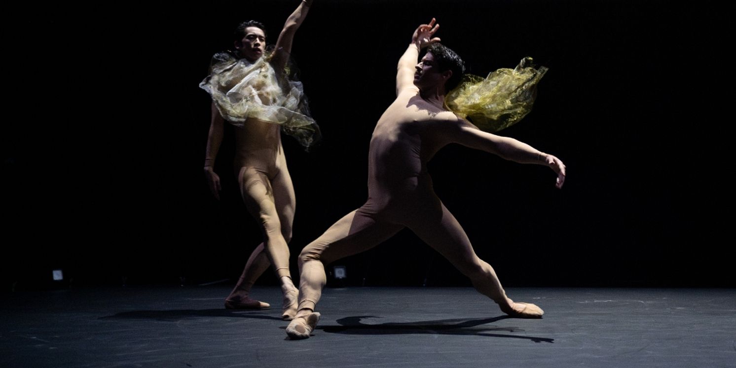 Review: DARK WITH EXCESSIVE BRIGHT, Royal Opera House  Image