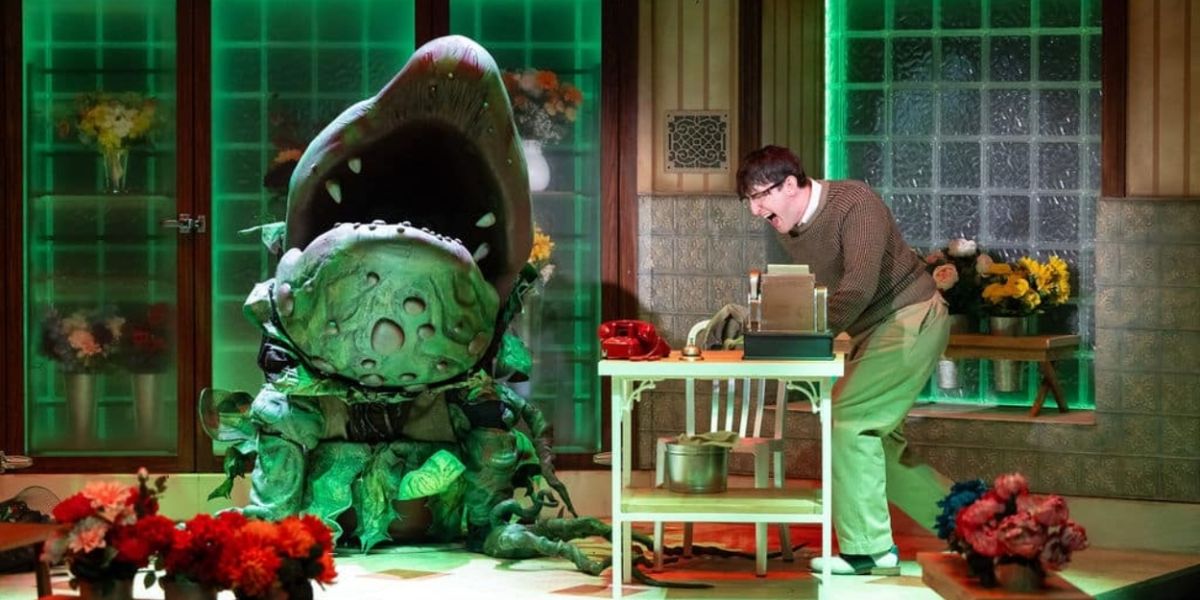 Review: DCPA Delivers a Killer LITTLE SHOP OF HORRORS