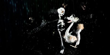 Review: DEAD AS A DODO A SPELLBINDING DELIGHT at Studebaker Theater At The Fine Arts Build Photo