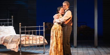 Review: DEATH OF A SALESMAN Opens at Edmonton's Citadel Theatre Photo