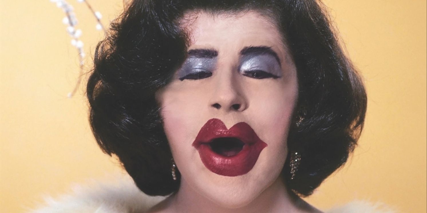 Review: DINA MARTINA: SUB-STANDARDS, Soho Theatre  Image