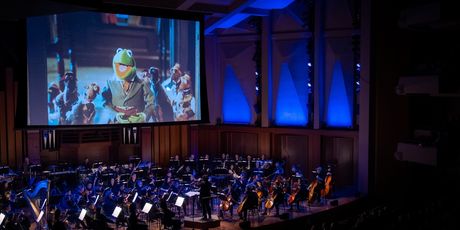 Review: DISNEY'S THE MUPPET CHRISTMAS CAROL at Benaroya Hall Photo