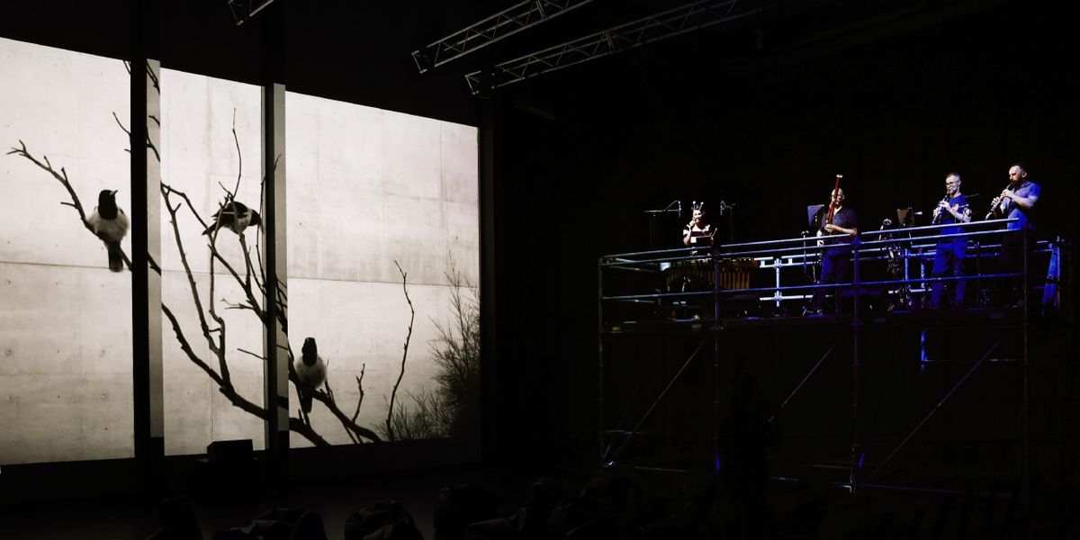 Review: ENSEMBLE OFFSPRING: NIGHT SONGS - ADELAIDE FESTIVAL 2024 at Space Theatre, Adelaide Festival Centre